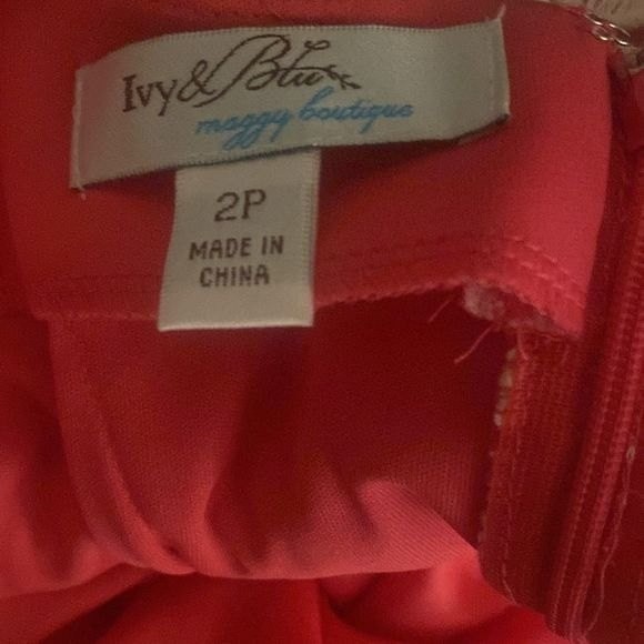 NEW! IVY & BLU MAGGY BOUTIQUE x NORDSTROM Cottagecore Lace Sheath Dress Size 2P - Picture 11 of 12